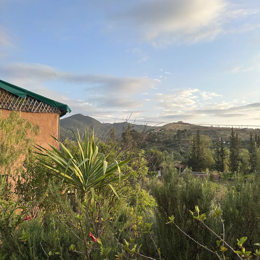 The organic garden and olive groves